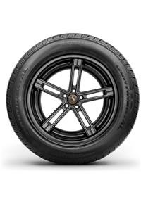 Tire Image