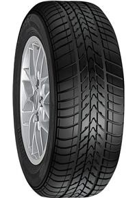 Tire Image