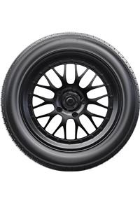 Tire Image