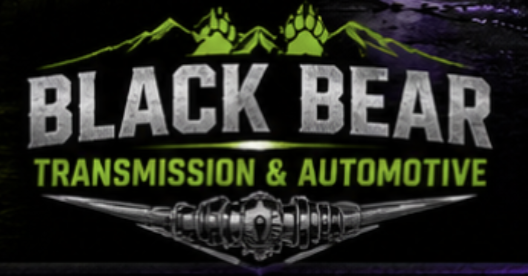 Black Bear Transmission & Automotive logo